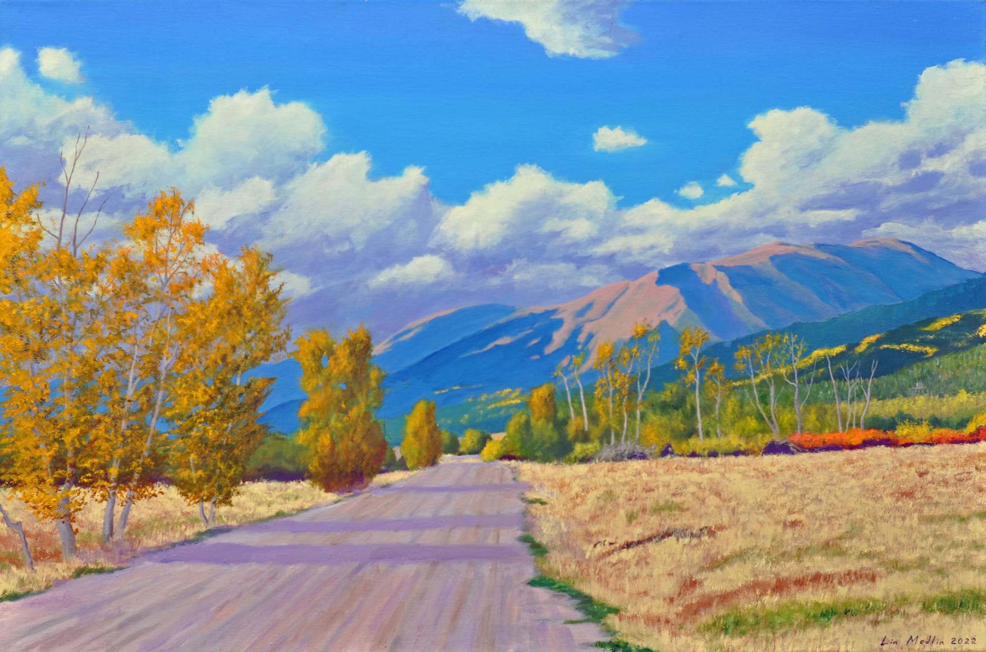 Shadows on a Road