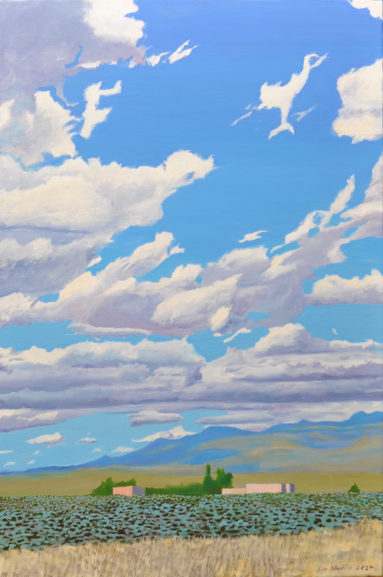 Skies over Taos